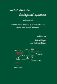 Cover image: Metal Ions in Biological Systems 1st edition 9780824719562
