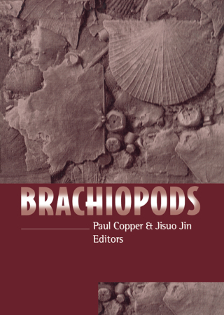 Titelbild: Brachiopods 1st edition 9789054108160