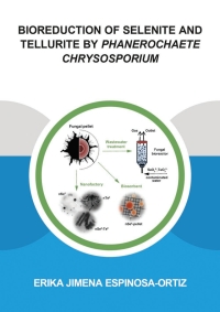 Cover image: Bioreduction of Selenite and Tellurite by Phanerochaete Chrysosporium 1st edition 9781138030046