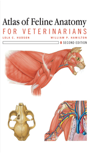 Titelbild: Atlas of Feline Anatomy For Veterinarians 2nd edition 9781591610441