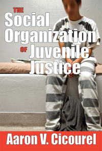 Imagen de portada: The Social Organization of Juvenile Justice 1st edition 9781560007791