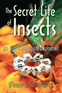 Omslagafbeelding: The Secret Life of Insects 1st edition 9781412810111
