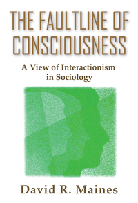 Imagen de portada: The Faultline of Consciousness 1st edition 9780202306452