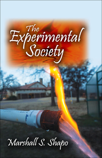 Cover image: The Experimental Society 1st edition 9781412857031
