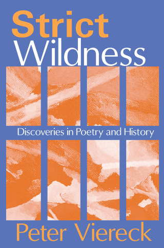 Imagen de portada: Strict Wildness 1st edition 9781138515086