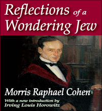 Cover image: Reflections of a Wondering Jew 1st edition 9781138531581