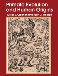 Cover image: Primate Evolution and Human Origins 1st edition 9781138530737