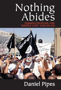 Cover image: Nothing Abides 1st edition 9781412856836