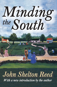 Omslagafbeelding: Minding the South 1st edition 9781138528130