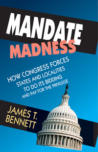 Immagine di copertina: Mandate Madness 1st edition 9781412853729