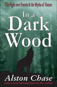 Cover image: In a Dark Wood 1st edition 9780765807526