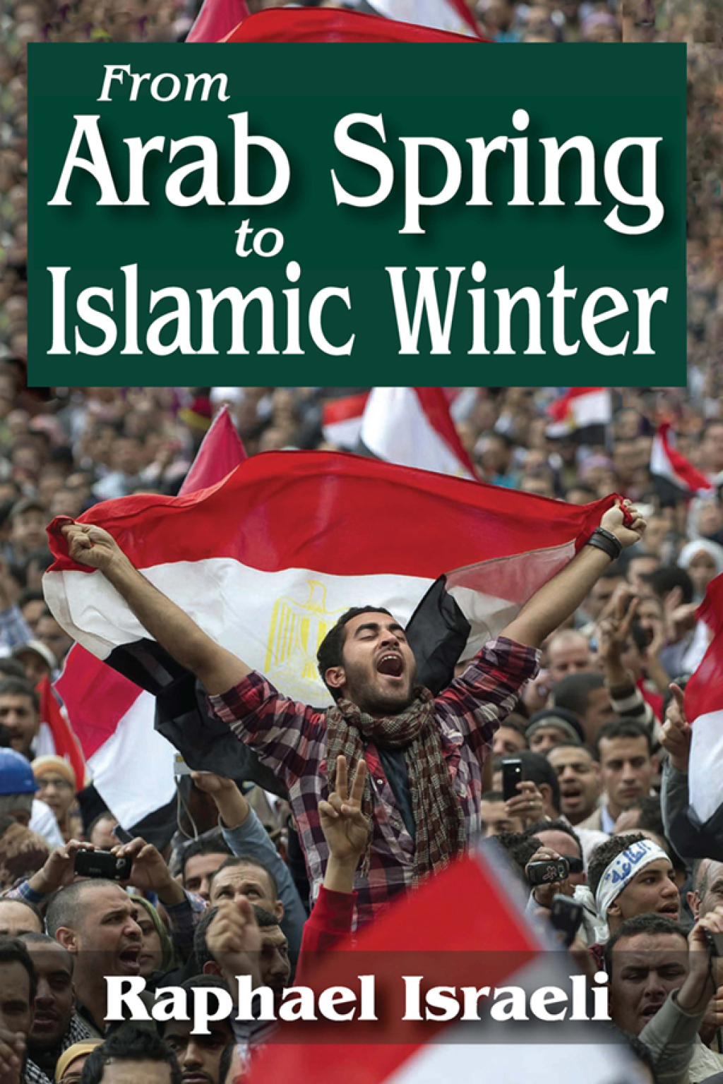 From Arab Spring to Islamic Winter 1st Edition