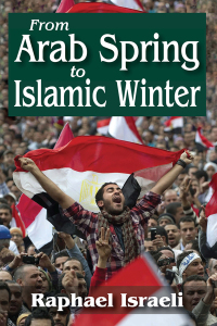 Imagen de portada: From Arab Spring to Islamic Winter 1st edition 9781412852593