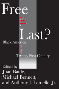Cover image: Free at Last? 1st edition 9781138523807