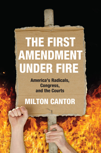 Cover image: First Amendment Under Fire 1st edition 9780367736507