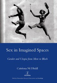 Omslagafbeelding: Sex in Imagined Spaces 1st edition 9781906540418