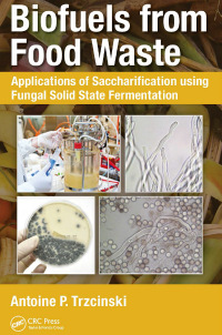 Imagen de portada: Biofuels from Food Waste 1st edition 9781138093720