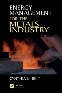 Cover image: Energy Management for the Metals Industry 1st edition 9781138441484