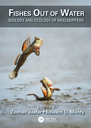 Cover image: Fishes Out of Water 1st edition 9780367573430