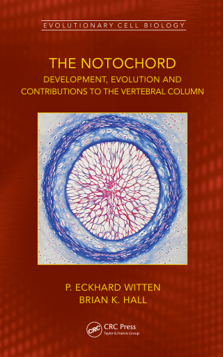 Immagine di copertina: The Notochord 1st edition 9781032162683