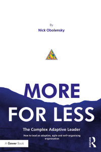 Cover image: More for Less 1st edition 9781138063723