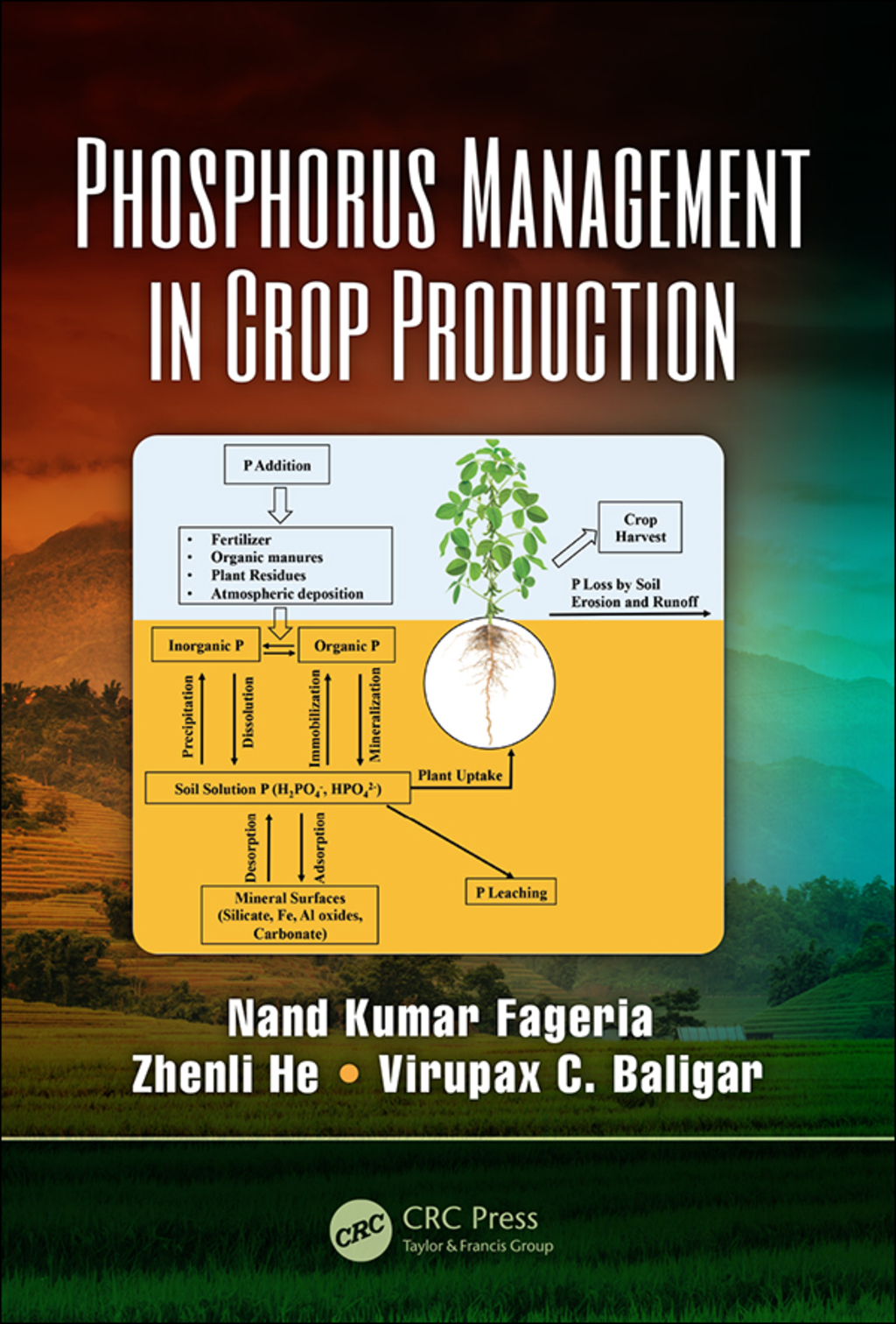 Phosphorus Management in Crop Production 1st Edition