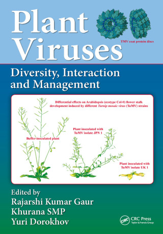 表紙画像: Plant Viruses 1st edition 9781138061514