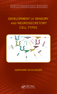 Titelbild: Development of Sensory and Neurosecretory Cell Types 1st edition 9781138061460