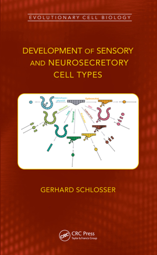 Cover image: Development of Sensory and Neurosecretory Cell Types 1st edition 9781138061460