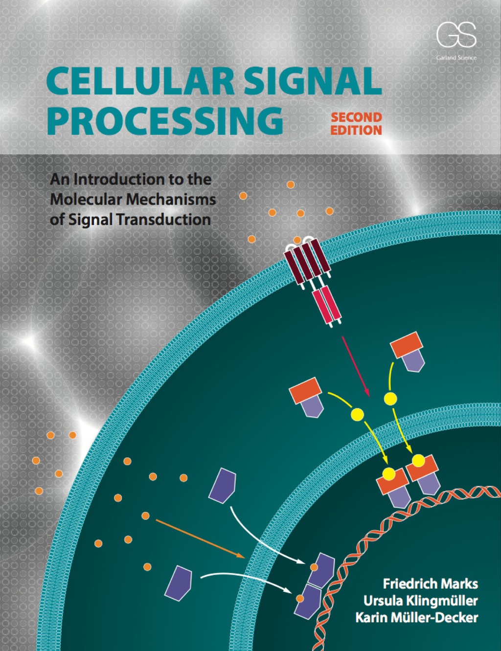 Chapter 14- Signal Transduction by Ions (Cellular Signal Processing) 2nd Edition