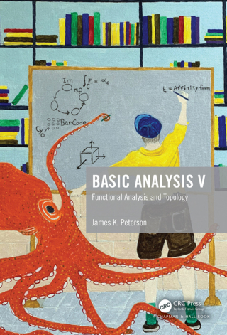 Cover image: Basic Analysis V 1st edition 9781138055131
