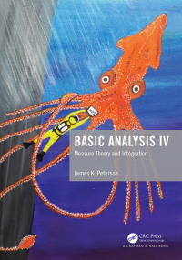 صورة الغلاف: Basic Analysis IV 1st edition 9781138055117