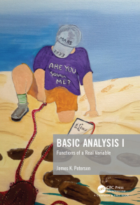 Cover image: Basic Analysis I 1st edition 9781138055025