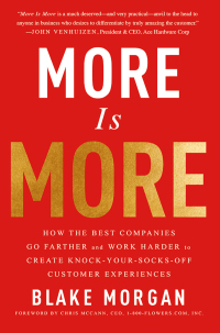Cover image: More Is More 1st edition 9781138046788