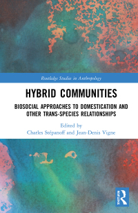 Omslagafbeelding: Hybrid Communities 1st edition 9781138893993