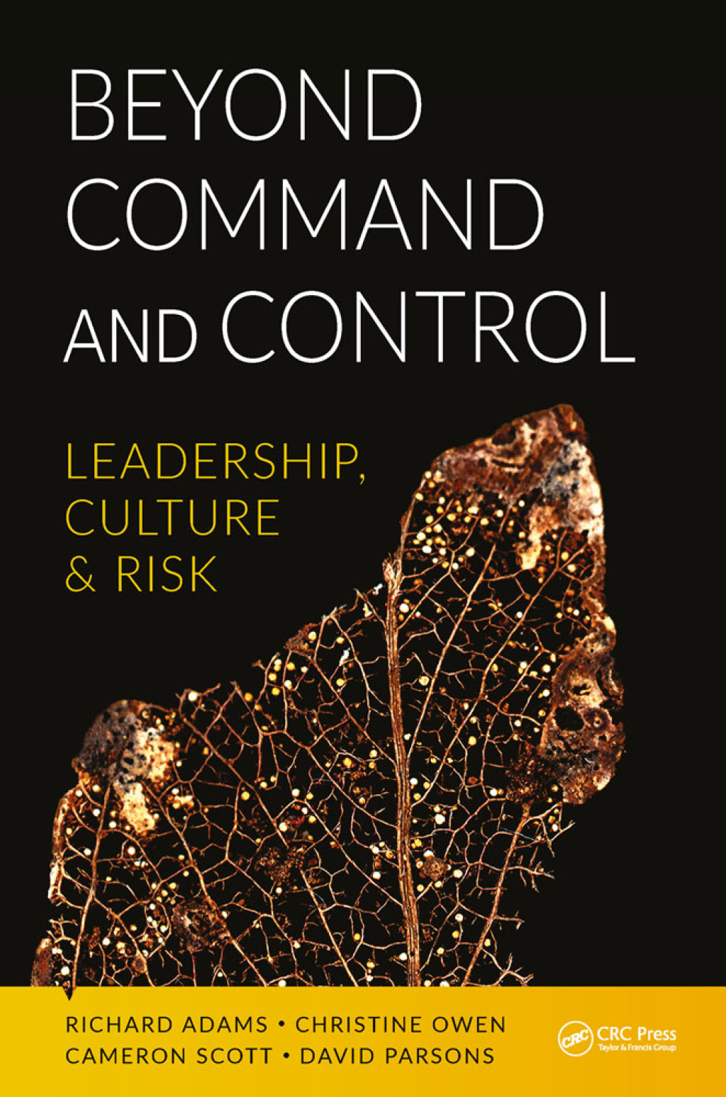 Beyond Command and Control Leadership, Culture and Risk 1st Edition