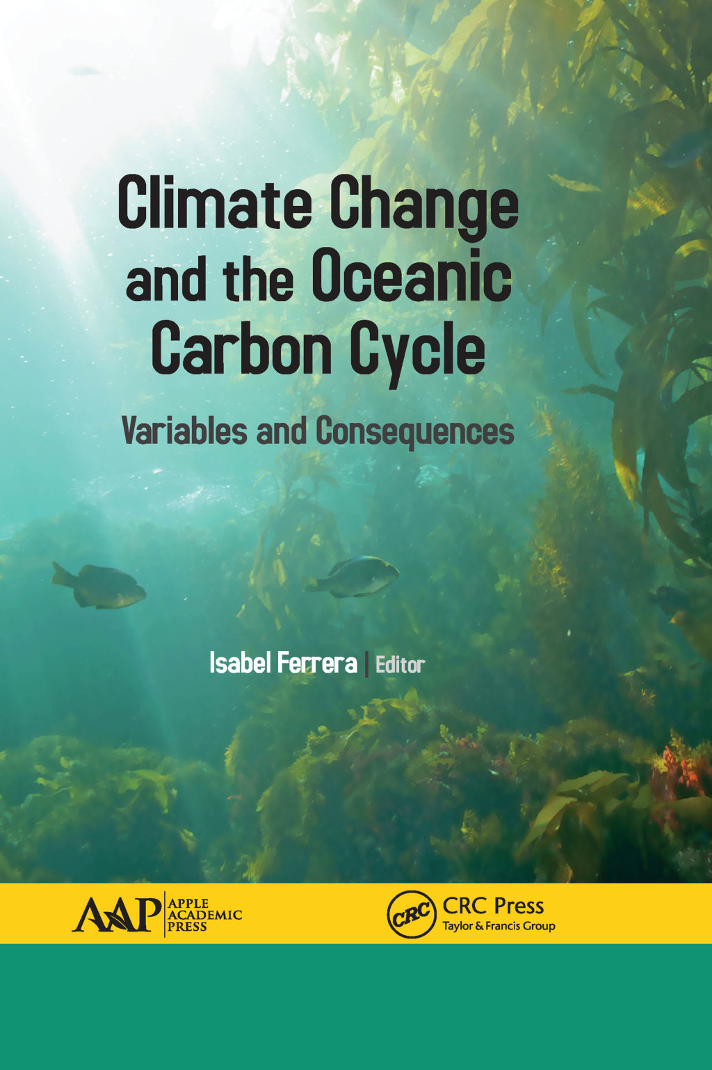 Climate Change and the Oceanic Carbon Cycle Variables and Consequences 1st Edition
