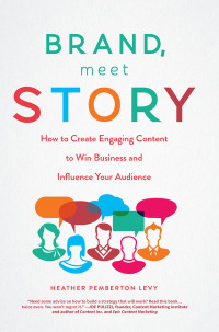 Cover image: Brand, Meet Story 1st edition 9781629561813