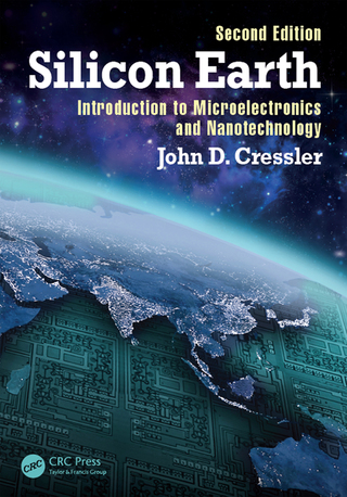 Imagen de portada: Silicon Earth 2nd edition 9781138452046