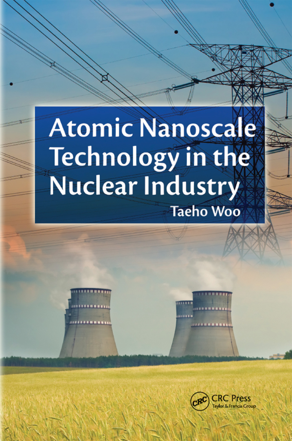 Atomic Nanoscale Technology in the Nuclear Industry 1st Edition