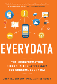 Cover image: Everydata 1st edition 9781629561011
