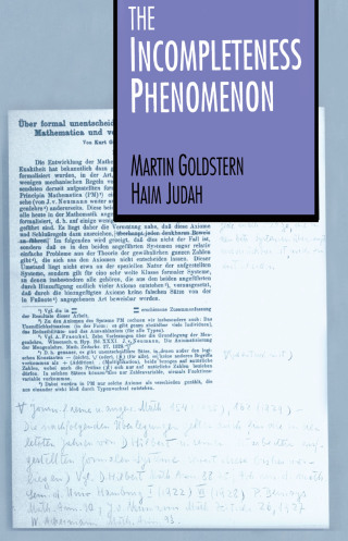 Cover image: The Incompleteness Phenomenon 1st edition 9780367401696