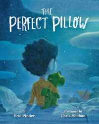 Cover image: The Perfect Pillow 9781484746462