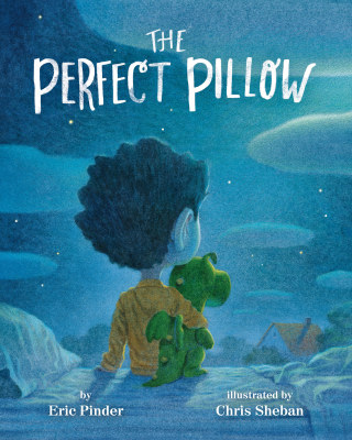 Cover image: The Perfect Pillow 9781484746462