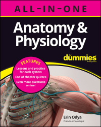 صورة الغلاف: Anatomy & Physiology All-in-One For Dummies (  Chapter Quizzes Online) 1st edition 9781394153657