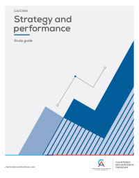 Cover image: Strategy and Performance 2nd edition 9781394183012