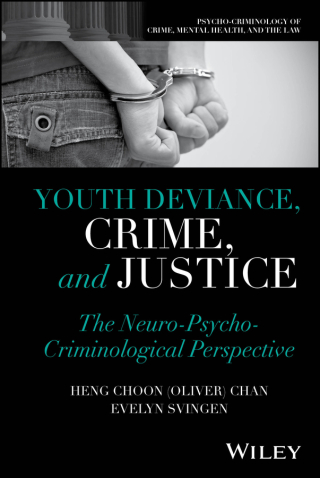 Cover image: Youth Deviance, Crime, and Justice 1st edition 9781394251490