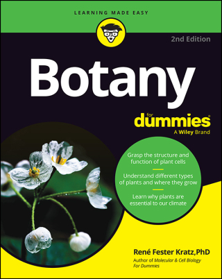 Titelbild: Botany For Dummies 2nd edition 9781394273898