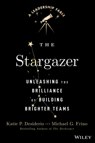 Omslagafbeelding: The Stargazer 1st edition 9781394280537