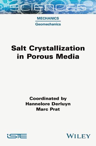 Imagen de portada: Salt Crystallization in Porous Media 1st edition 9781789451146